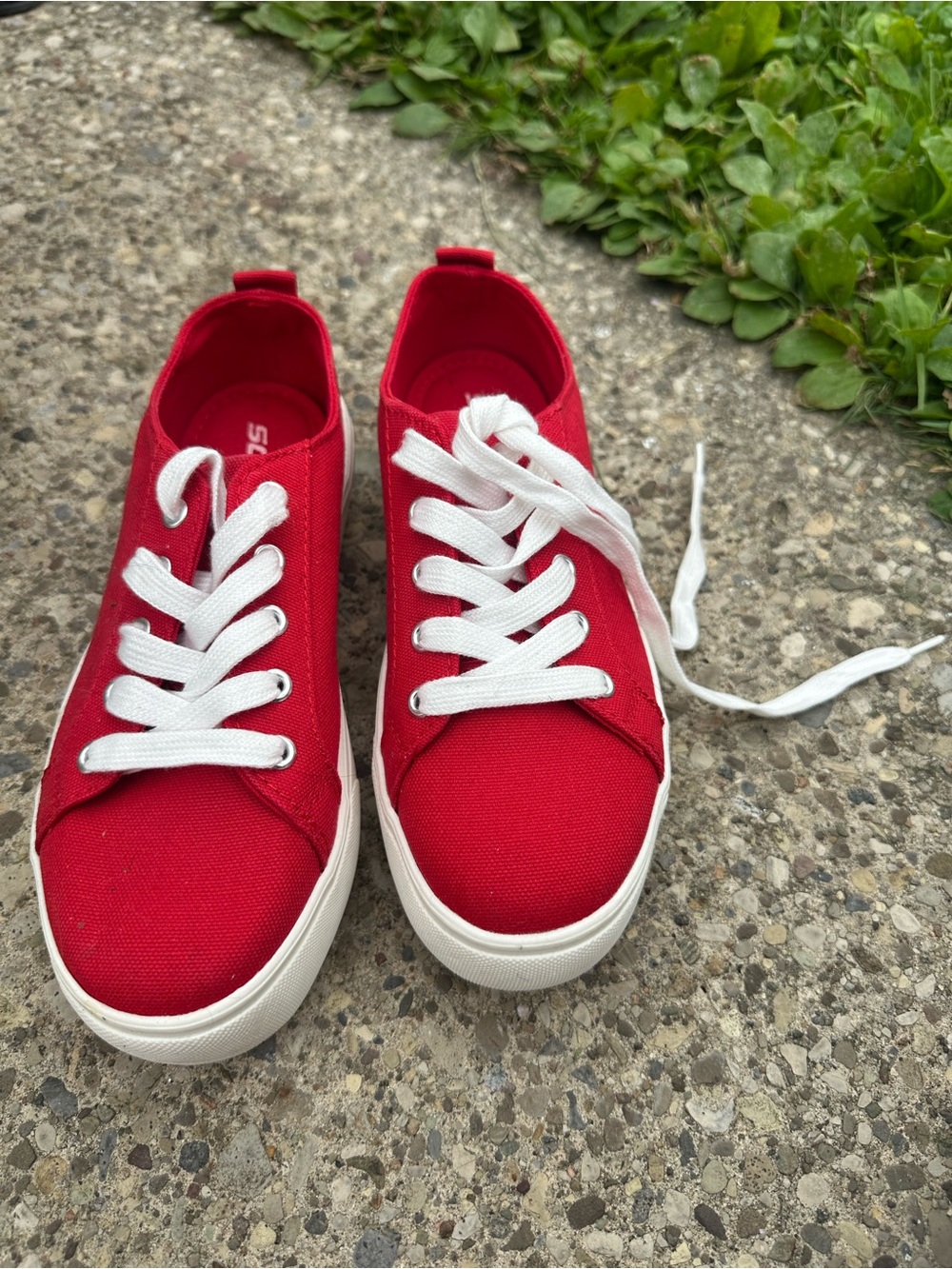 Women’s Red Canvas platform Lace-Up Sneakers